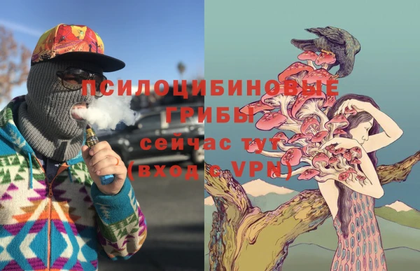 стаф Алексеевка