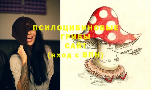 экстази Алексин